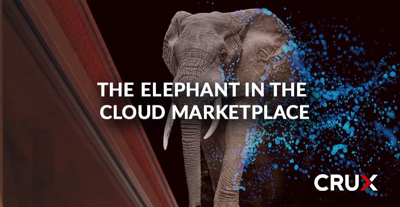 The elephant in the cloud marketplace